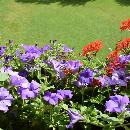 דירה Christophorus *