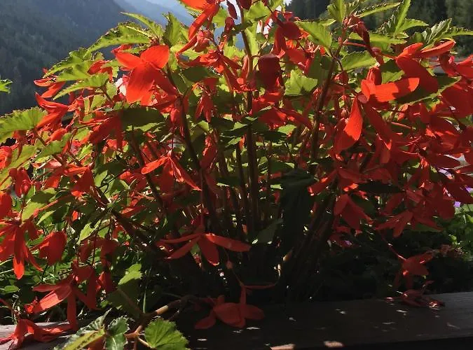 Christophorus Нойштифт-им-Штубайталь