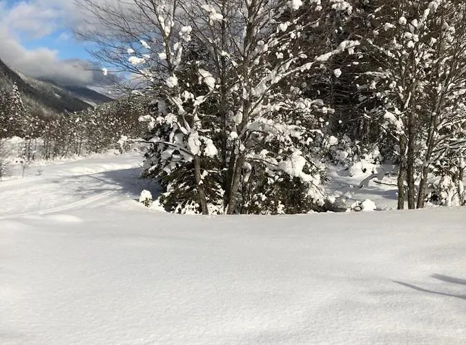 Апартаменты Christophorus