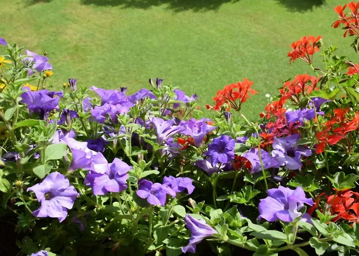 Апартаменты Christophorus *